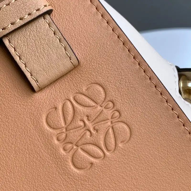 Loewe Bag 2210YA0051