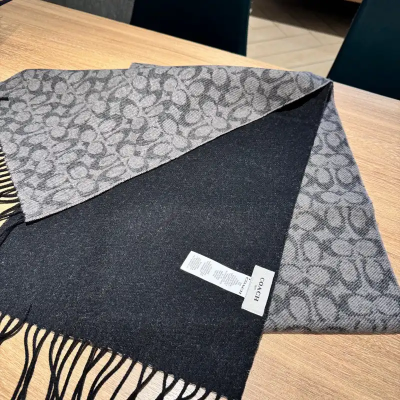 SCARVES scarves 2410SC0190