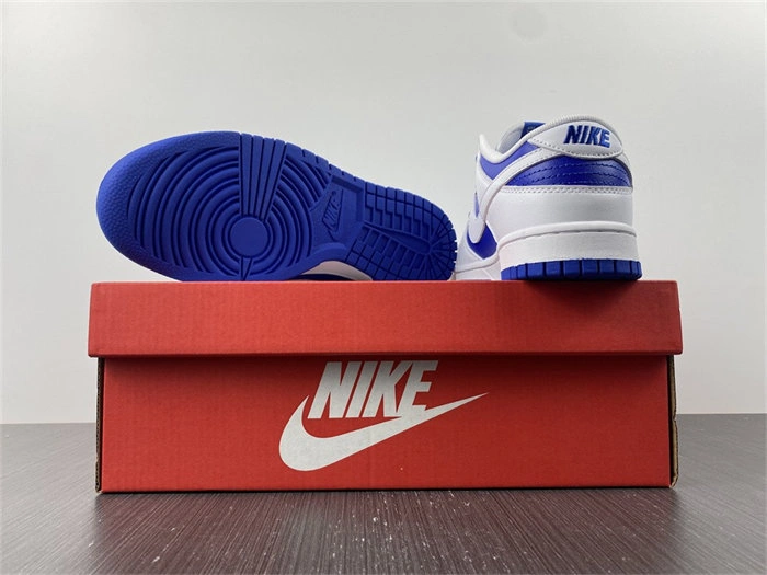Lightweight Nike Dunk Low DD1391- 4822